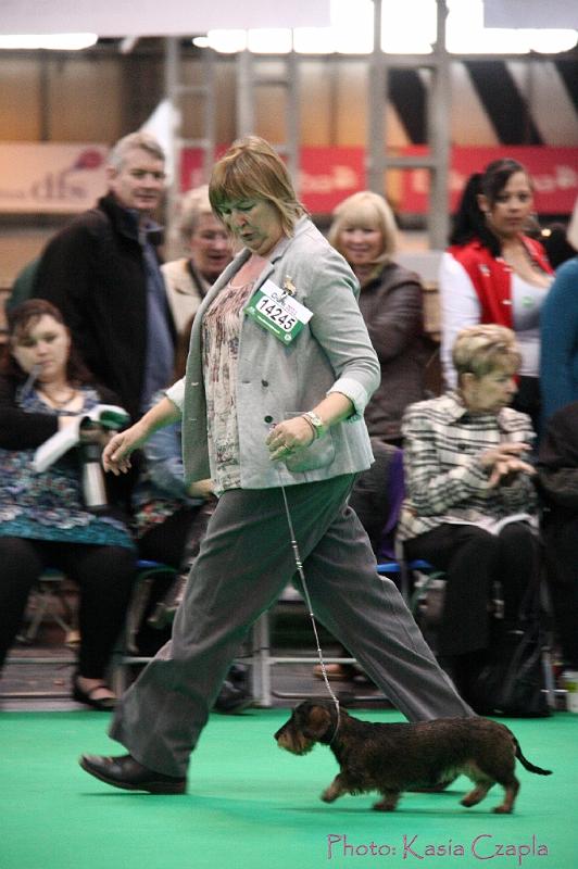 Crufts2011_2 1365.jpg